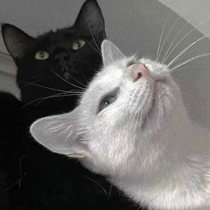 2022年亚洲午夜一区二区福利
